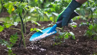 مصر تفرض رسوماً جديدة على صادرات الأسمدة
